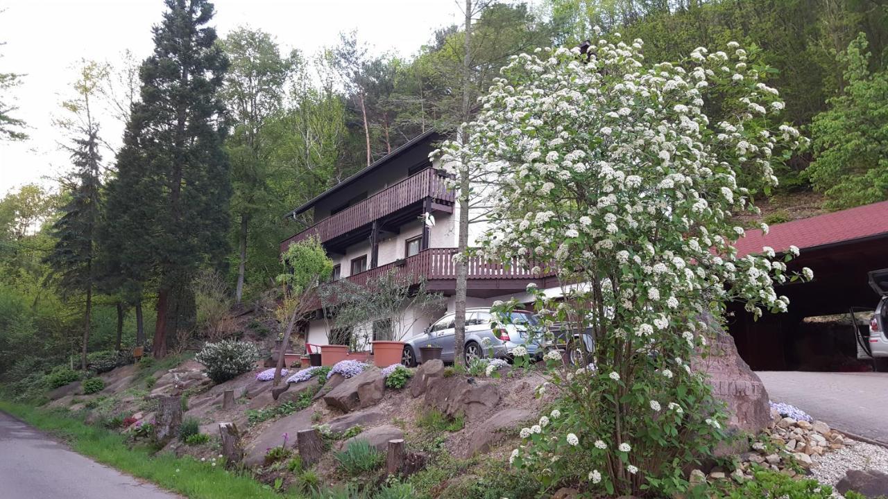 Gaestehaus Gerhardt 슈바이겐레크텐바크 외부 사진